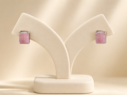 OJA1-ER505Pi#5.png
